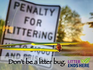Don't Be A Litterbug