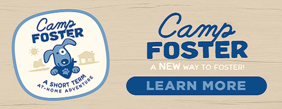 Camp Foster