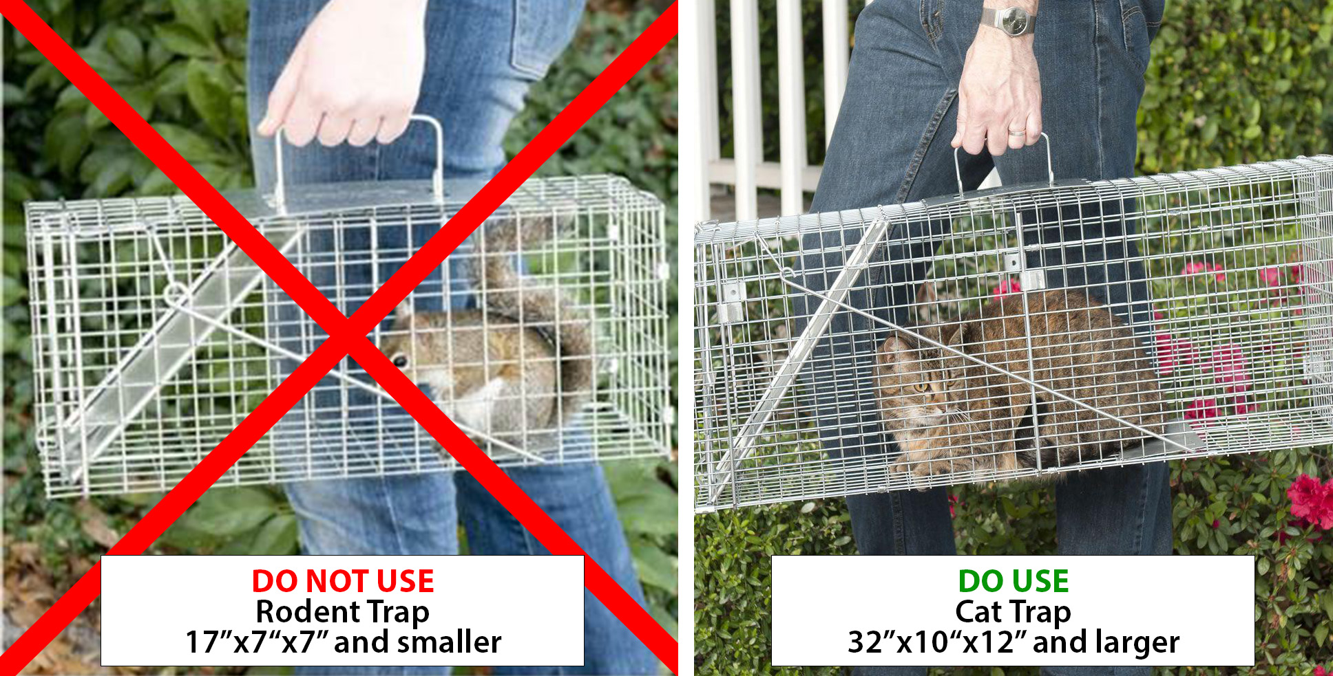 Cat Vs Rodent Trap Image