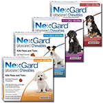 Tri-Heart Plus Heartworm Prevention