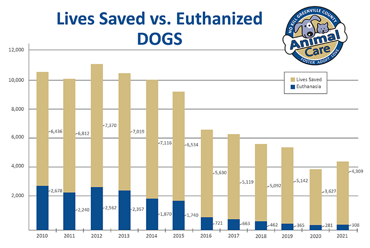 Statistics for Dogs Graphic