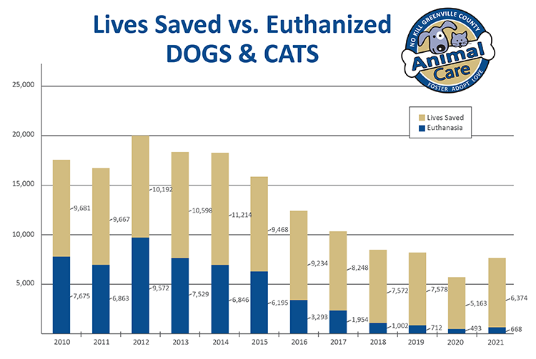 Statistics for Dogs & Cats Graphic