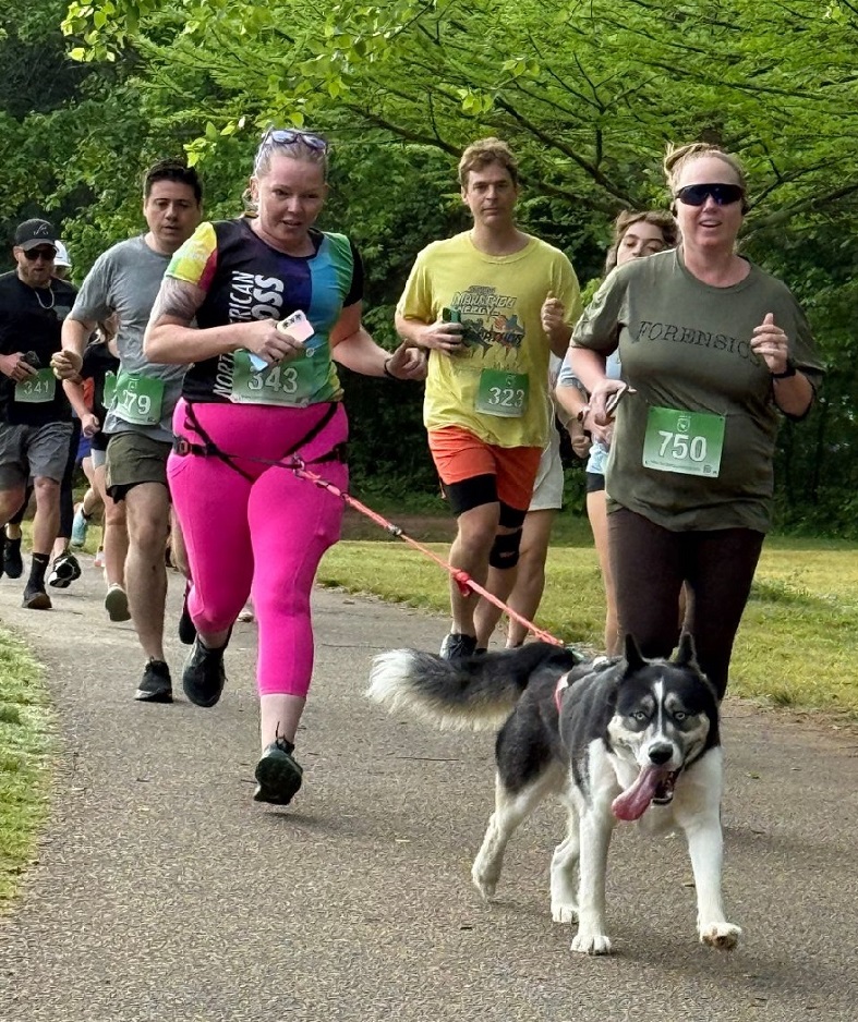 Walk or Run as a Team