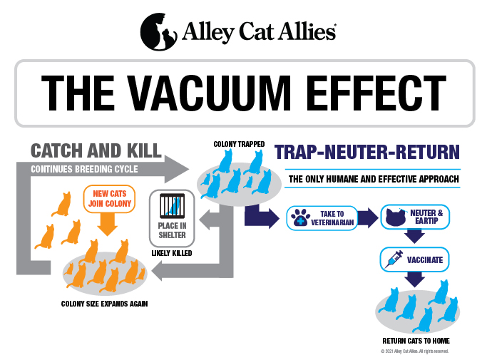 The Alley Cat Allies Vaccum Effect Graphic