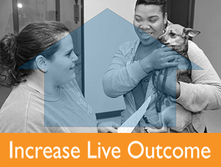 Increase Live Outcome