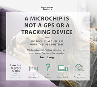 Why Should You Microchip Your Pet
