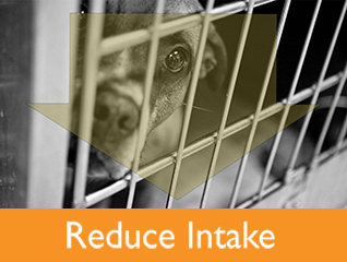 Reduce Intake
