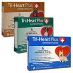 Tri-Heart Plus Heartworm Prevention
