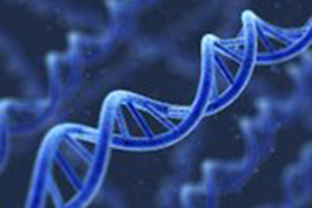 DNA Lab Photo