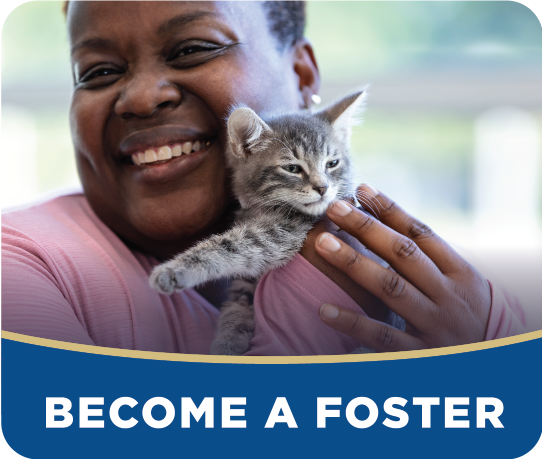 Foster Program