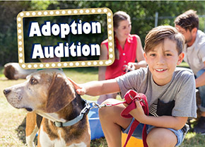 Adoption Audition