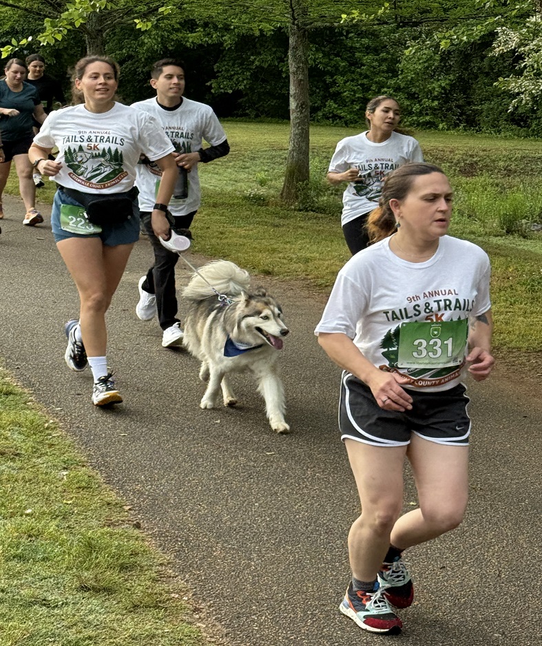 Walk or Run with your best running partner - your dog!