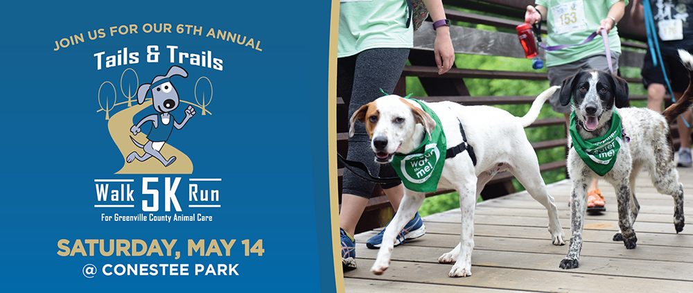 Come Run With Us!