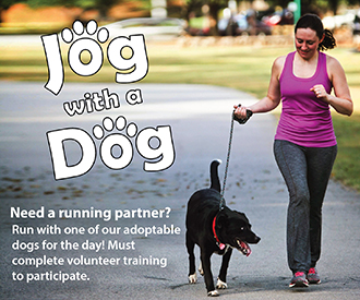 Volunteer To Jog With a Dog