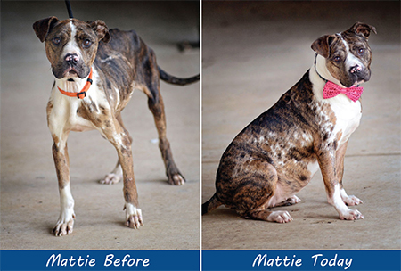 Mattie Before and After