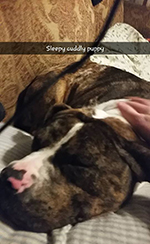 Mattie Napping