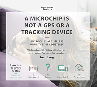 cost to microchip a cat