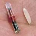 Microchip