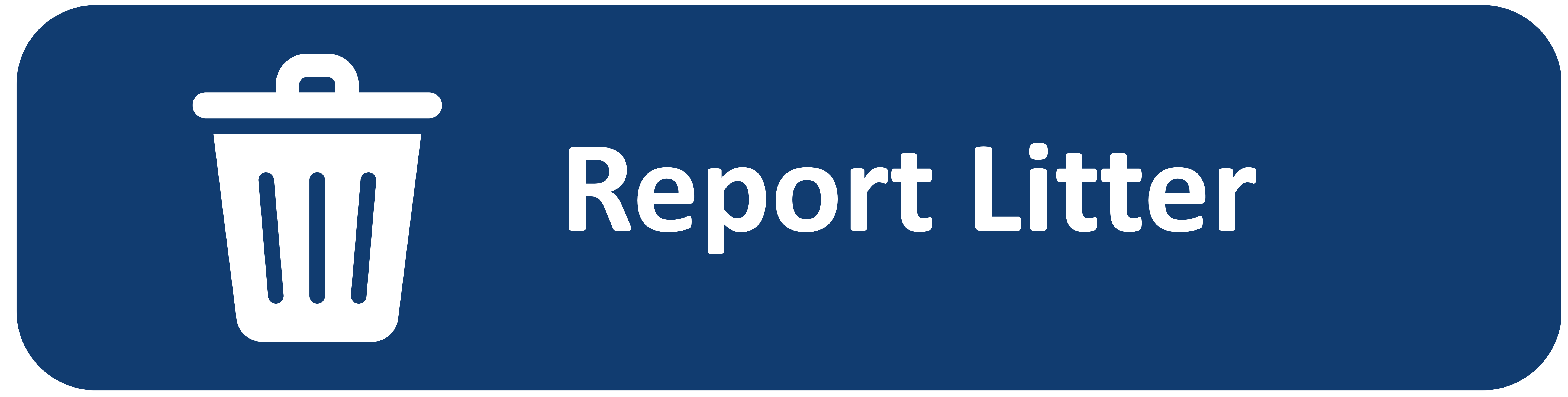 Report litter in Greenville County